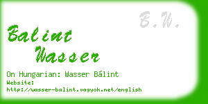 balint wasser business card